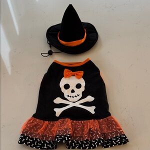 Skull & Bones Halloween Witch Costume for Dog - Black and Orange *New